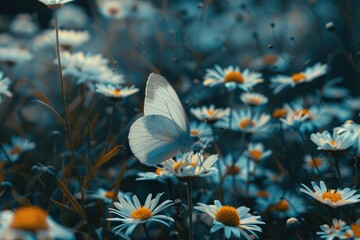 Wall Mural - A White Butterfly Resting on a Daisy in a Field of Flowers