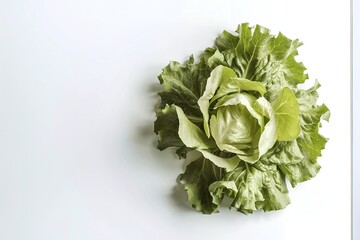 Poster - Fresh Lettuce on white background