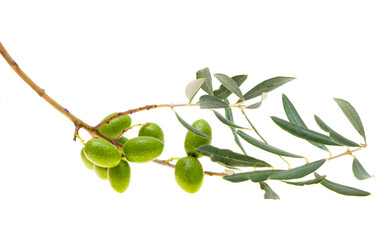 Wall Mural - branch with green olives isolated