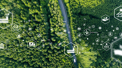 Wall Mural - Aerial view of car in green forest with icons representing eco-friendly transport. Clean and greenhouse-free green transport concept in electric drive mode.