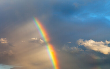 Wall Mural - scenic sky landscape with colorful rainbow on blue sky with clouds after hard rain at sunset in summ