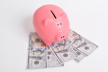 Pink piggy bank and US dollars notes isolated on white background. Cash savings. Finance and Investment concept