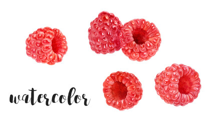 Vibrant watercolor of red raspberries on white, highlighting natures beauty and fruits