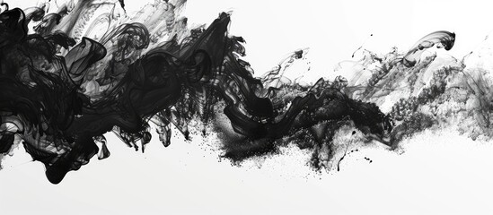Poster - Black and white ink scroll Copy space image