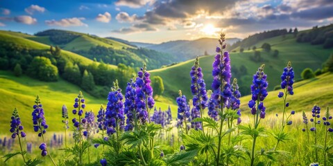 Wall Mural - Serene summer meadow landscape featuring delicate blue monkshoods swaying gently amidst lush green rolling hills, providing ample copy space for text or design elements.