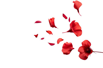 Sticker - Red flowers and petals flying in the air isolated on background, spring season with falling floral.