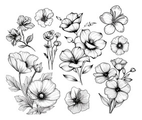 Poster - flowers. plants botany sketch drawing engraving ink line art linear black and white. vector illustration on white background