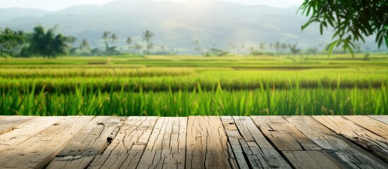 Fototapete - Daytime view with a wooden table top set against a blurred rice field backdrop Ideal for product displays or design layouts with a copy space image