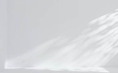 Wall Mural - white room with natural light and sunbeams on the wall and floor