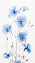 Poster - Pressed blue flowers nature petal plant.