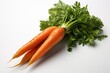 © Lindamar - Isolated fresh carrot on white, generative IA