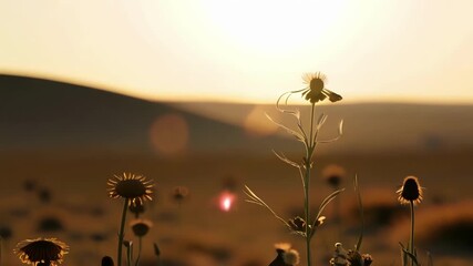 Sticker - A gentle breeze carries the sweet scent of the desert flowers as they bask in the warm light of the rising sun.