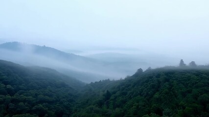 Sticker - Rolling hills swallowed by a thick fog creating a tranquil and serene landscape.