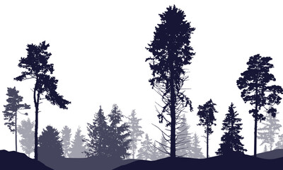 Wall Mural - Coniferous forest, silhouette of pine trees and spruces, beautiful landscape. Vector illustration