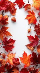Wall Mural - Vertical autumn frame background with free place for text, maple leaves decorate a beautiful nature thanksgiving, scenery yellow red seasonal colorful mock up, white background