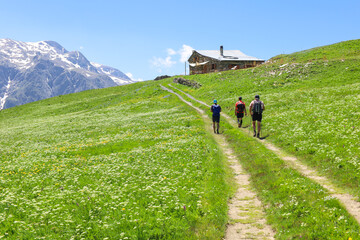 Wall Mural - Randonnée sur le plateau d'Emparis ,plateau situé à plus de 2 000 m d'altitude sur les départements français de l'Isère et des Hautes-Alpes dans le massif des Arves dans les Alpes françaises