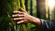 © Alberto Masnovo - Extreme closeup of a hand of a senior man touching a tree with green moss in the forest and connecting with nature, concept of love for nature and environmental conservation. Generative Ai.