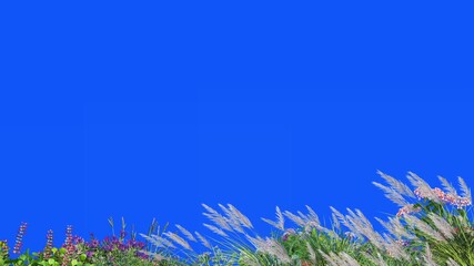 Sticker - 3D render Foreground flower and plant swaying on blue background	
