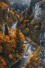 Wall Mural - A river with trees on both sides. The trees are orange and yellow. The river is flowing through a valley