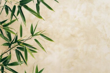 beige background with bamboo leaves