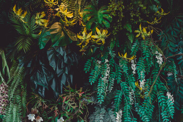 Wall Mural - abstract green leaf texture, tropical leaf foliage nature dark green background.