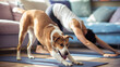 © starush - A dog and woman doing yoga on mats in a living room, AI