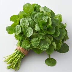 Sticker - Freshly Harvested Bundle of Watercress on a White Background