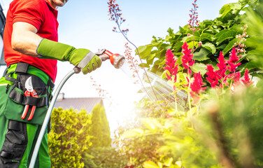 Gardener Watering Vibrant Flowers in Backyard During Sunny Day