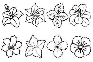 Hibiscus line art illustration Design Concepts