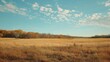 © pngking - A wide expanse of golden hued field meets a distant treeline where autumn s touch is revealed under a vast sky decorated with soft clouds