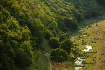 Wall Mural - landscape and beautiful green nature in the Republic of Moldova, a small friendly country in Eastern Europe.