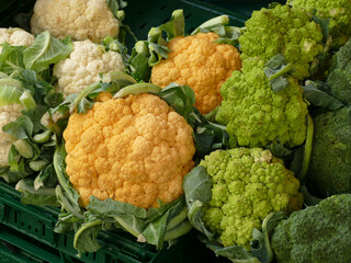 Green romanesco broccoli and yellow and white caulifower heads laying in a green crate