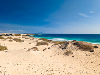 Wall Mural - aerial view of dunas de corralejo beach in fuerteventura, canary island