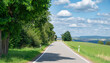 © Berit Kessler - Road through forest in summer, green trees and meadow, path through deciduous trees, landscape