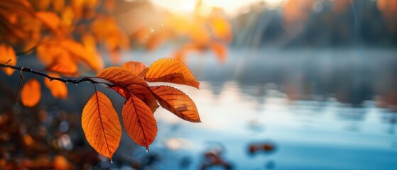 Canvas Print - Autumn Leaves by the Lake