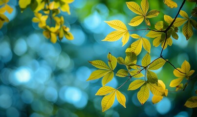 Wall Mural - Close-up of green and yellow leaves on a branch with a soft blue and green bokeh background.