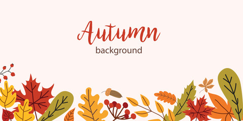 autumn background with leaves. vector fall banner. place for text.