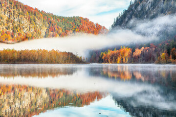 Wall Mural - captivating autumn scene of foggy and sunny morning on almsee lake.