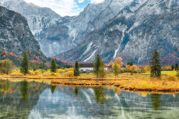 Wall Mural - breathtaking autumn scene of sunny morning on almsee lake.