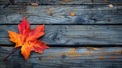 Wall Mural - A leaf is on a wooden surface. The leaf is orange and has a brown spot