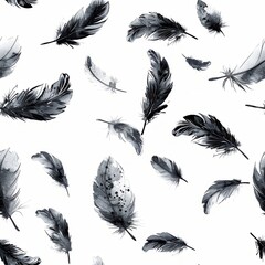 Poster - a group of black and white feathers