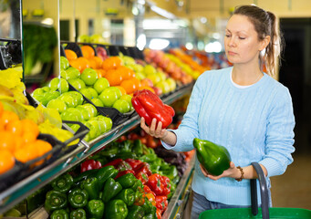 Busy middle-aged casual woman choosing local bell peppers during shopping in supermarket