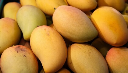 Poster - thai fruits many ripe mangoes are sweet and delicious