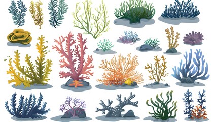 Wall Mural - coral and seaweed isolated on white