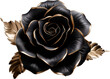 © vuang - A single black rose with gold accents, a beautiful and elegant flower.