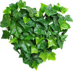 Wall Mural - Green leaves heart