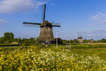 Wall Mural - Historic windmill by the canal and wildflowers in the Netherlands.