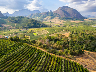 Aerial view of rural landscape of Aguia Branca, ES, Brazil, highlighting conilon coffee plantations set against the backdrop of rocky mountains.