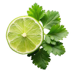 Coriander leaves with lime slice top view isolated on transparent background