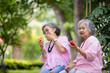 © kamonrat - Two Elderly Women Sitting Outdoors, Enjoying Red Apples Together, Sharing a Moment of Friendship and Conversation Amidst Lush Greenery
